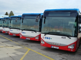 20190307_103239_HDR.jpg